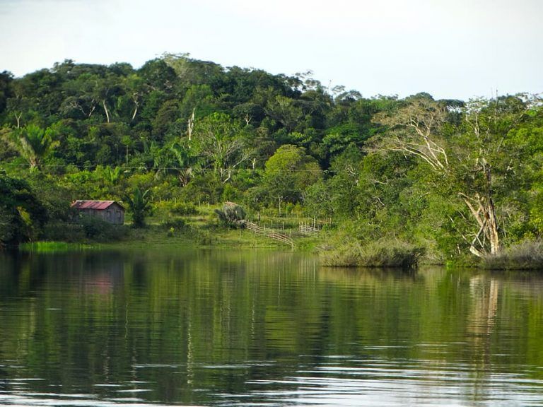 biodiversidad en la amazonía archivos Gran Hotel de Lago